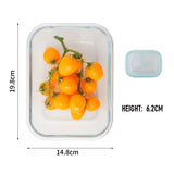 High Borosilicate Glass Food Container Storage - 1040ML