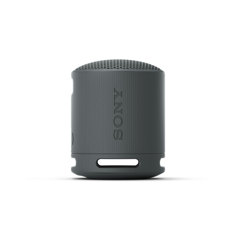 SRS-XB100 Portable Wireless Bluetooth Speaker