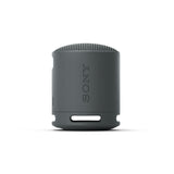 SRS-XB100 Portable Wireless Bluetooth Speaker
