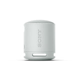 SRS-XB100 Portable Wireless Bluetooth Speaker
