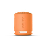 SRS-XB100 Portable Wireless Bluetooth Speaker